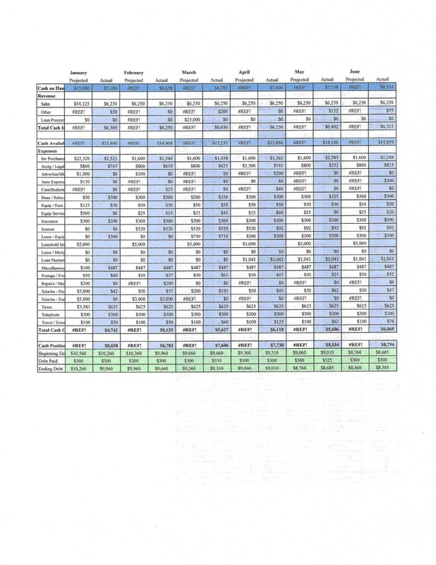 Business Planning with Cashflow Management gallery