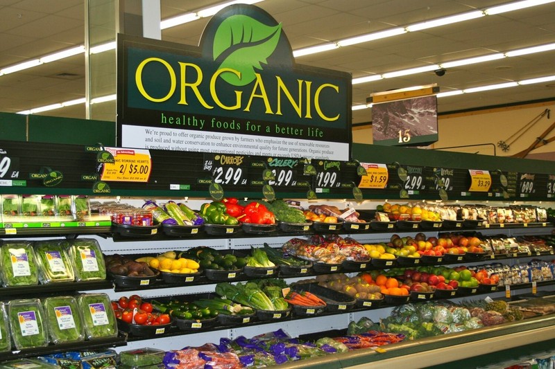 Organic Grocery Store Fresh Foods Shop Business Plan
