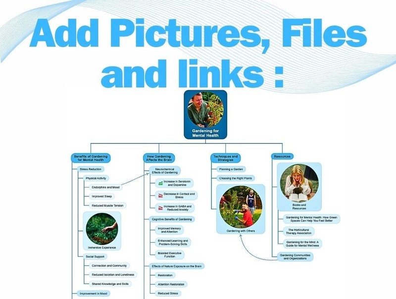 SimpleMind Pro / License key lifetime, global Multilingual, Original seller gallery